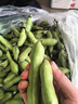 云南現摘新鮮蠶豆5斤農家帶殼生本地羅漢蘭花胡豆青豆莢蔬菜整箱 9-10斤 曬單實(shí)拍圖