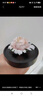 Para Ella永生花陶瓷牡丹生日禮物女伴手禮實用母親國慶中秋禮品結(jié)婚紀(jì)念日 曬單實拍圖