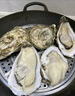 鮮海道 鮮活乳山生蠔3XL 凈重5斤 13-17只 生鮮海鮮貝類(lèi) 源頭直發(fā) 曬單實(shí)拍圖