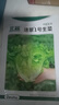 北蔬 生菜種子苗四季種生吃耐熱耐抽薹菜籽 速翠1號生菜種子約5000粒 曬單實(shí)拍圖