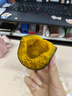 京鮮匠【JD快遞】山東真貝貝南瓜正宗 栗香粉糯小南瓜 新鮮蔬菜源頭直發(fā) JD快遞 精品裝 凈 4.5斤 (4-6個) 曬單實拍圖