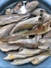 蝦有蝦途去頭小黃花魚鮮活冷凍小黃魚海捕魚海魚整箱批發(fā)價4斤凈重 【去頭】深海小黃魚 4斤去頭小黃魚 曬單實拍圖