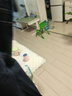 Navigare意大利小帆船水洗牛仔褲女直筒長褲闊腿褲2332573501 牛仔藍(lán) M  曬單實拍圖