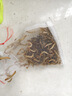 面包蟲(chóng)黃粉蟲(chóng)寵物鳥(niǎo)類(lèi)魚(yú)類(lèi)活飼料零食面包蟲(chóng)批發(fā)活的面包蟲(chóng) 500條 曬單實(shí)拍圖