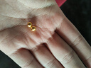 金小貅黃金轉(zhuǎn)運(yùn)珠足金999小金珠重版加厚散珠光面金珠黃金古法珠手串DIY 0.8g,5mm古珠重版2顆 曬單實(shí)拍圖