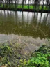 鮮丹蚯蚓紅蟲(chóng)顆粒餌料鄧剛推薦釣魚(yú)專(zhuān)用全能野釣通殺鯉魚(yú)鯽魚(yú)腥香 買(mǎi)二贈一【紅腥香】 曬單實(shí)拍圖