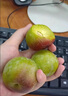 探味君正宗攀枝花凱特芒 應(yīng)當(dāng)季水果四川芒果新鮮現(xiàn)摘甜青皮大澳芒 整箱 凈重4.5斤 單果200g 曬單實(shí)拍圖