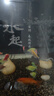 蒙?！?0支隨變】隨變香草草莓藍(lán)莓隨芯脆果隨變轉(zhuǎn)麥片脆皮雪糕冰淇淋 【共40支】 曬單實(shí)拍圖