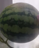 曉吸無籽麒麟瓜 4kg 曬單實(shí)拍圖