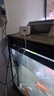 森森低音增氧泵大氣量增氧機充氧加氧泵魚(yú)缸水族箱養魚(yú)氧氣泵打氧 【大氣量靜音】大單孔CT201 4W裸機 曬單實(shí)拍圖