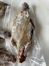 舟山梭子蟹鮮活特大野生大螃蟹新鮮冷凍海鮮水產(chǎn)海蟹飛蟹白蟹順豐 7-9兩/只【5斤凈重 特大肥壯】 曬單實拍圖