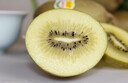 佳沛（zespri）新西蘭  陽(yáng)光金果18粒優(yōu)選果單果約101-124g 獼猴桃 中秋水果禮盒 曬單實(shí)拍圖