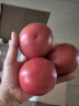 京地達西紅柿山東普羅旺斯西紅柿凈重3斤 單果120g+ 蔬菜源頭直發(fā)包郵 曬單實拍圖