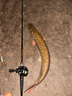 達億瓦（DAIWA）24/25新款 TATULA TW/SV TW100/200黑蜘蛛泛用遠投輪水滴輪路亞輪 25款100H/HL 7.1速 泛用偏小餌 左手型 曬單實(shí)拍圖
