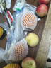 京鮮生 南非進口小蜜橘/蜜桔3斤裝 單果40g起 柑橘桔子 新鮮水果 曬單實拍圖