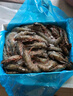 良滿(mǎn)鮮福建漳州活凍大號黑虎蝦 無(wú)冰凈重2斤 30-40只/盒 海鮮大蝦 低脂 曬單實(shí)拍圖