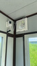 人民電器溫控器數顯電子控溫儀開(kāi)關(guān)插座溫度控制器【10A】 三顯+氣溫探頭 曬單實(shí)拍圖