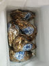 燈塔水母【鮮活】乳山生蠔牡蠣6XL號(hào)凈重5斤源頭直發(fā) 曬單實(shí)拍圖