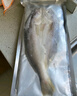 黃小漁南美黃魚鲞450g/2條 三去大黃魚黃花魚生鮮 海鮮水產(chǎn)燒烤夜宵魚類 曬單實(shí)拍圖