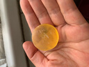 半畝花田苦參凈螨皂洗手沐浴全身可用男女深層清潔控油面部20g 曬單實拍圖