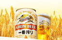 麒麟KIRIIN一番榨啤酒 經(jīng)典黃啤 全麥釀造 整箱啤酒 【店鋪熱銷(xiāo)】 500mL 12罐 整箱裝 曬單實(shí)拍圖