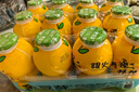 金豆芽兒童金銀花柚子汁155ml*16瓶禮盒夏天孩子飲料寶寶零食果汁西柚汁 曬單實拍圖