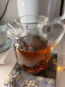 高茗（gaoming） 仿宋茶壺小早執(zhí)壺耐熱茶具泡綠茶器透明小號(hào)醒酒壺玻璃壺 小早壺300ml 曬單實(shí)拍圖