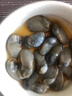 醉泥螺黃泥螺水產(chǎn)品生腌海鮮即食罐頭寧波特產(chǎn)大個(gè)鮮活腌制 大個(gè)500g皇中皇泥螺 曬單實(shí)拍圖