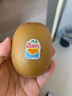 佳沛（zespri）新西蘭  陽光金奇異果10粒禮盒巨大果單果約144-175g 水果 獼猴桃 曬單實拍圖