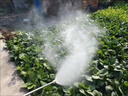 中農(nóng)益嘉 遙控汽油柴油噴霧器打藥機(jī)打藥農(nóng)藥噴霧機(jī)農(nóng)用一體機(jī)自動(dòng)收卷管 免安裝遙控頂配汽油60泵+300米管 曬單實(shí)拍圖