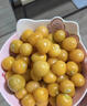 桃西村東北姑娘果【順豐可選】菇?jīng)龉S金莓燈籠果黃菇娘小金豆新鮮水果 3斤 精選果【單果7-9g】順豐 曬單實(shí)拍圖