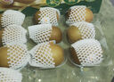 佳沛（zespri）新西蘭 陽光金果12粒單果約122-146g 獼猴桃 中秋水果禮盒 曬單實拍圖