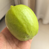 尚蘇 適用于 華為Pura70手機殼華為P70保護套防摔全包軟殼簡(jiǎn)約輕奢羊巴皮硅膠外殼女男款皮套黑色 曬單實(shí)拍圖