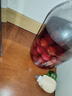 喜碧（Scybe）泡酒容器 密封罐10斤裝泡酒專用瓶泡菜壇子泡酒瓶腌菜瓶潘多拉5L 曬單實(shí)拍圖