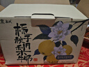 佳寶【京東自營(yíng)】梔子秋月梨風(fēng)味牛奶梨香甜牛奶早餐奶整箱 200g*6盒 曬單實(shí)拍圖