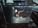 寵小帥智能桌面魚(yú)缸辦公桌小魚(yú)缸增氧循環(huán)凈水一體缸雪山造景工位斗魚(yú)缸 酷感黑【MINI智能魚(yú)缸】 20x15x15CM【大號(hào)】 曬單實(shí)拍圖