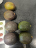 魯禧秘魯進口牛油果新鮮水果非即食當(dāng)季水果生鮮 4枚裝 單果70-100g 贈芥末醬油 曬單實拍圖