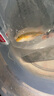錦鯉活魚純種淡水冷水觀賞魚中小型好養(yǎng)耐活金魚龍鳳紅白錦鯉魚苗 順豐 8-10cm錦鯉不同花色6條 曬單實拍圖