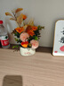 赟婭假花仿真花束綠植永生花塑料花送閨蜜女生孩朋友教師節生日禮物life陶瓷盆景+朝氣蓬勃組合 曬單實(shí)拍圖