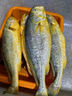 鴻順【冰鮮】黃花魚4條4斤 生鮮魚類 寧德大黃魚 地標(biāo)產(chǎn)品 源頭直發(fā) 曬單實(shí)拍圖
