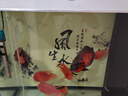 創(chuàng)寧魚缸過濾材料原礦濾材硝化細菌屋陶瓷環(huán)生化培菌球過濾器凈水濾材 原礦濾材【大方塊】1斤、帶網(wǎng)袋 曬單實拍圖