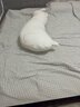 京嚴(yán)【A類】睡覺抱枕兒童成人專用抱枕女生夾腿側(cè)睡神器床上長條靠枕 A類母嬰級【小袋鼠】冰川透氣呼吸棉 110cm*25cm 含枕芯 成人款）呵護健康睡姿 曬單實拍圖