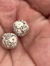吉千年海南星月菩提手串繞指柔原生態(tài)陰皮綠皮未脫脂老型桶珠七夕禮物 星月菩提10x9mm 22顆 單圈順白 曬單實(shí)拍圖