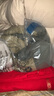 巴拉巴拉童裝兒童羽絨服男童冬裝撞色連帽外套上衣舒適戶(hù)外時(shí)尚潮 綠色調00444-白鴨絨 110cm （充絨量74g） 曬單實(shí)拍圖