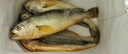 鴻順【冰鮮】黃花魚4條4斤 生鮮魚類 寧德大黃魚 地標產(chǎn)品 源頭直發(fā) 曬單實拍圖