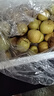 京覓陜西大荔冬棗頭茬精品 單果16-25g 凈重3斤 源頭直發(fā)包郵 曬單實拍圖