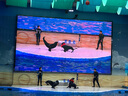 維達（Vinda）抽紙 細韌3層110抽*60包 細膩柔韌 餐巾紙衛生紙 整箱 曬單實(shí)拍圖