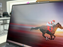 ThinkPad國家補貼20%設計師系列ThinkBook16p 2025筆記本電腦酷睿Ultra7-255HX RTX5060 2.5K 240Hz 32G 1T 曬單實(shí)拍圖