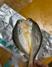 黃小漁寧德黃魚鲞400g/2條 三去大黃魚黃花魚生鮮 海鮮水產(chǎn)燒烤夜宵魚類 曬單實(shí)拍圖