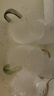 憶壺茶涼水杯玻璃帶把手家用待客辦公室耐熱高硼硅泡茶果汁杯6只套裝 曬單實(shí)拍圖